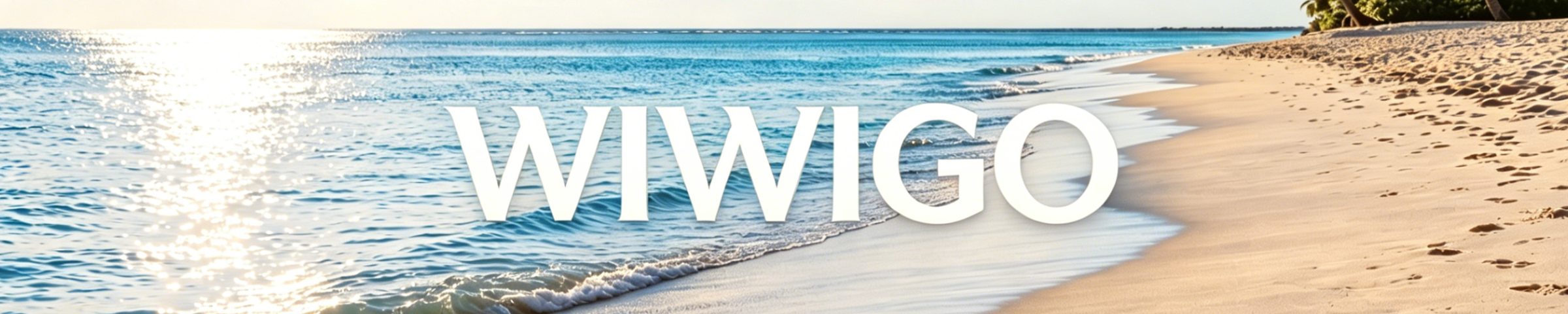 WIWIGO on the beach