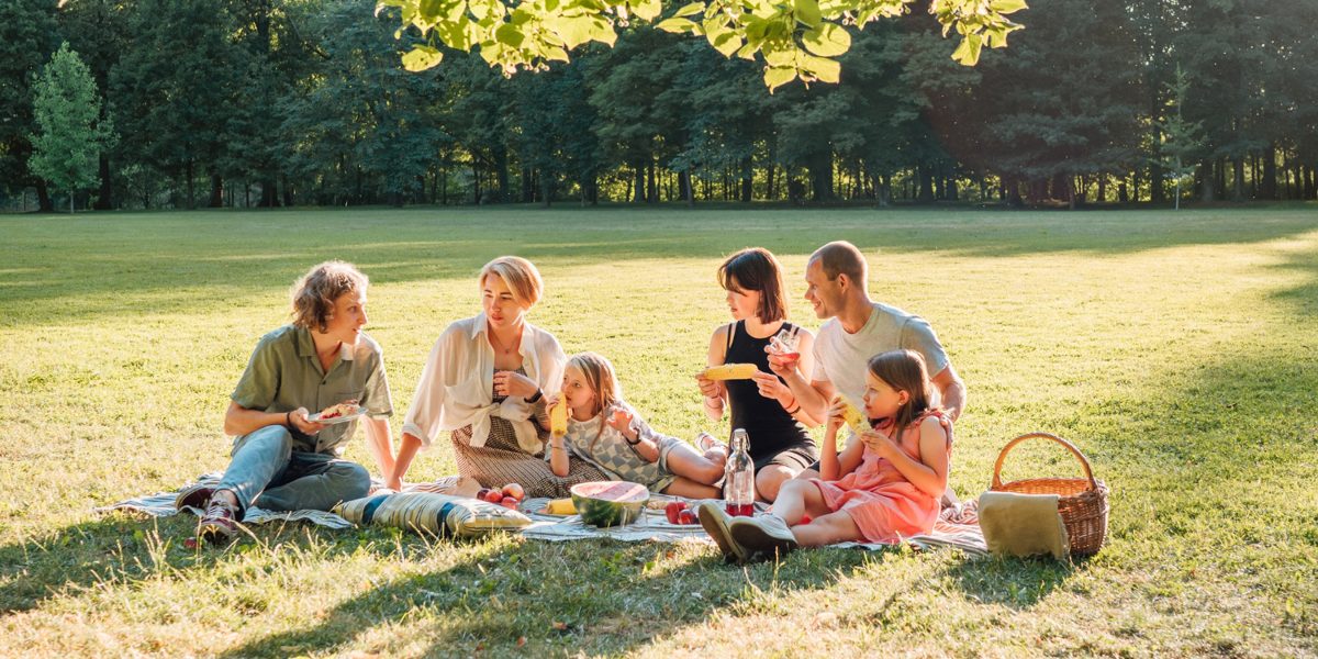 WIWIGO blanket — picnic